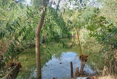 PROPRIETATE SUPERBA IN BIBIRESTI - 6