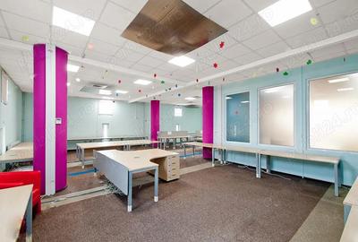 Bulevardul Cosbuc 116-118 - MaxFit - Birouri Premium - 2