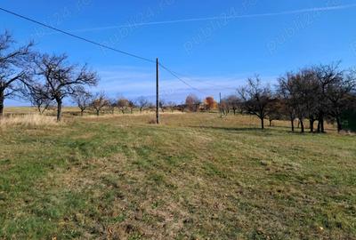 Casa Valea tarnei 8 hectare p mant - 4