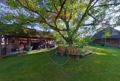 Hotel/Pensiune, de 384 mp, în Breb - 7