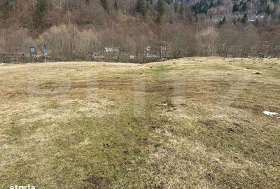 Spațiu comercial, în Paltin