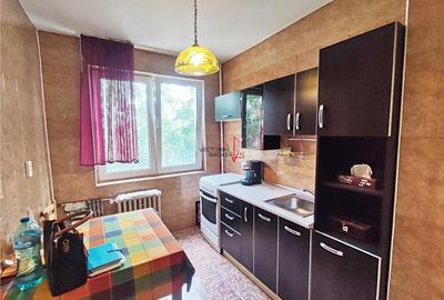 Apartament cu 2 camere decomandat, mobilat în Doamna Ghica