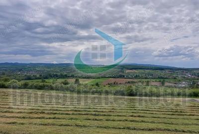 Teren de 2510 mp, în Șomcuta Mare - 6