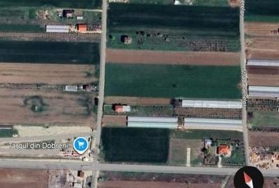 Teren Construcții intravilan de 400 mp, în Dobreni - 1
