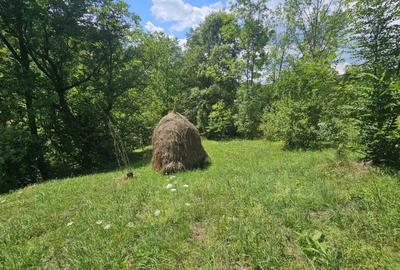 Teren agricol intravilan de 2500 mp, în Valea Doftanei