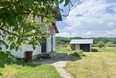 Casă cu potențial într-un cadru natural de excepție – Mares, Albota - 3