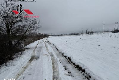 Teren de 3900 mp, în Central