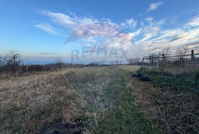 Teren de 2636 mp, în Pădureni (Jariștea) - 3