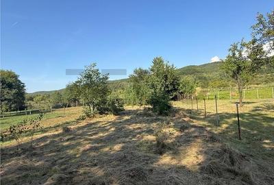 Apartament cu 4 camere în Săliște - 12