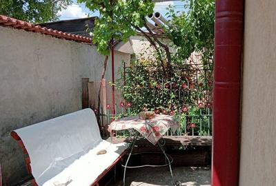 Casă cu 4 camere în Radu Negru - 7