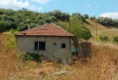 Teren de 5550 mp, în Central - 3