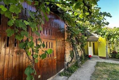 Casă individuală cu 2 camere în Uileacu de Beiuș