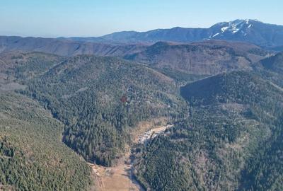 Teren intravilan - 17