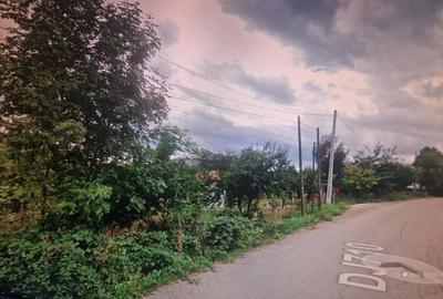 Teren intravilan de 4500 mp, în Adunați - 3