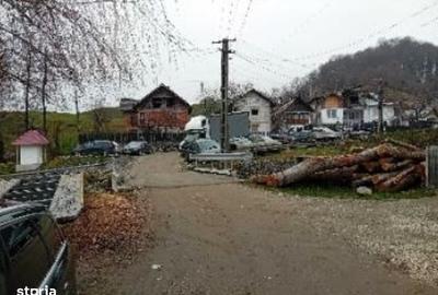 Casă cu 2 camere în Vlădești - 2