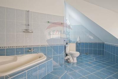 Casă individuală cu 9 camere cu Canalizare în Primăverii - 12