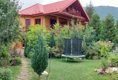 Casa Vacanta Lepsa Vrancea - 3