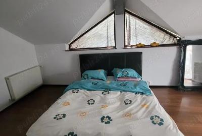 Casa deosebita ?tefane?tii Noi, Arge? - 4