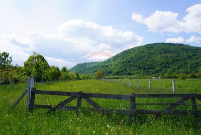 Teren Construcții intravilan de 2486 mp, în Sud - 4