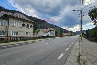 Casa 225 mp, teren intravilan 4822 mp C. Moldovenesc, Suceava - 6