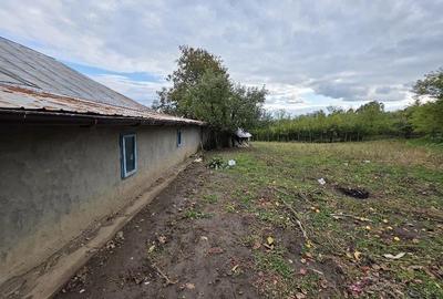 Casă cu 3 camere cu Teren 3000 Mp în Deleni - 5