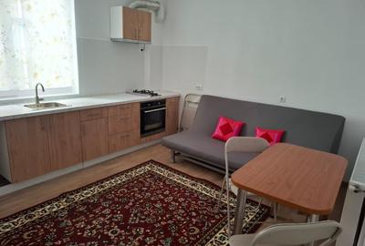 Chirie apartament la casa cu curte si gradina - 6