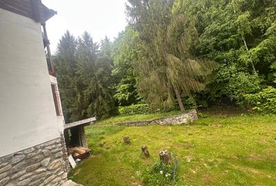 Duplex deosebit cu vedere panoramica spre munti si padure - Tocile, Sadu - 5