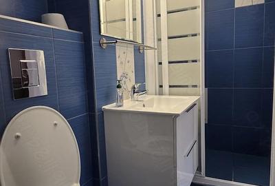 Apartament cu 2 camere decomandat în Mănăștur - 10