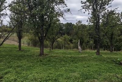 Spațiu comercial, în Central - 7