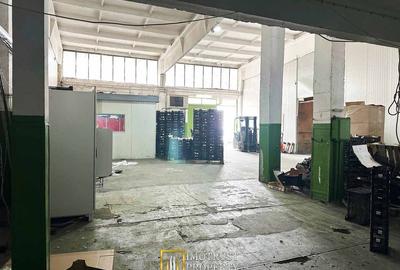 Hala industriala de inchiriat - 760 mp, Arad (Gradiste/Sere) - 4