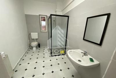 Casa cu 5 camere , zona Balcescu - 13