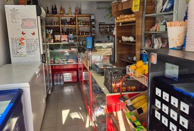 Vand casa P+1 in Ploie?ti, 4 dormitoare, spa?iu comercial, terase