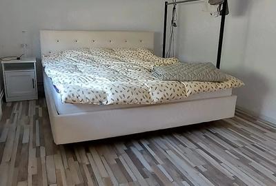 Casă cu 6 camere cu Teren 1800 Mp în Dudeștii Noi - 12