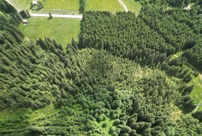 Teren extravilan 5000 MP Comandau - 11