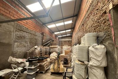 Hala 900 mp utili cu 1869 mp de teren - 9