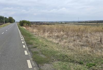 TEREN BRANESTI pentru MICA DEZVOLTARE IMOBILIARA. - 6