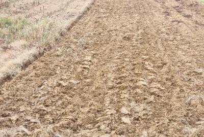 Casă individuală cu 5 camere cu Teren 15000 Mp în Dosu Râului - 3