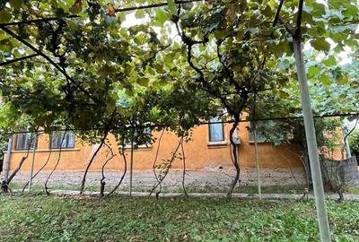 Casă cu 4 camere în Stolojani - 8