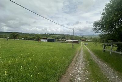 Teren de 2000 mp, în Fântânele