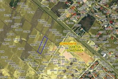 Teren Construcții intravilan de 2500 mp, în Boreal - 6