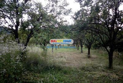 Teren intravilan comuna Bogati sat Birloi Jud. Arges - 11