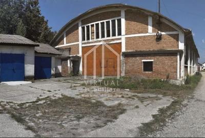 Teren Construcții intravilan de 16058 mp, în Țiglari - 2