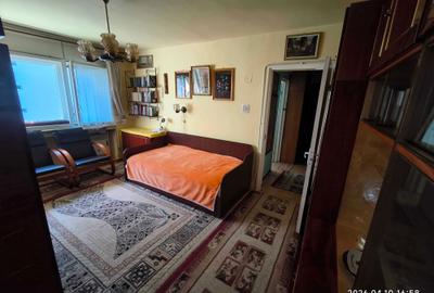 Apartament cu 2 camere semidecomandat în Vetiș - 2