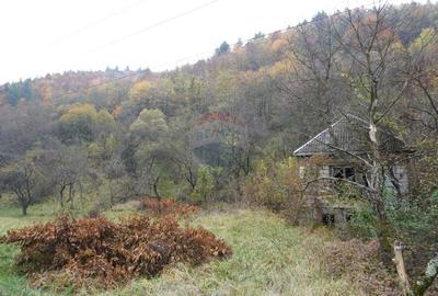 Teren 35,232mp Sighetu Marmatiei / Strada Valea Cufundoasa - 4