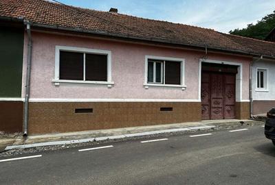 Casă cu 5 camere în Plugova - 5