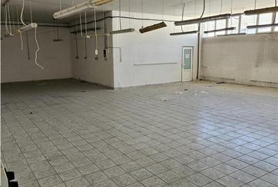 Spatiu Industrial - 1700 mp - Productie - Depozitare - Distributie - 7