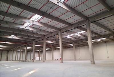 Spatii Industriale - 6500 mp - Logistica - Productie - Depozitare - Distributie - 2