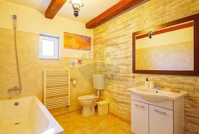 Casă cu 9 camere cu Teren 888 Mp în Sohodol - 29