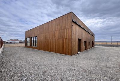 Spațiu industrial, de 717 mp, în Exterior Est - 6