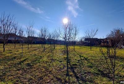 Casă cu 6 camere cu Teren 2984 Mp în Chișineu-Criș - 10